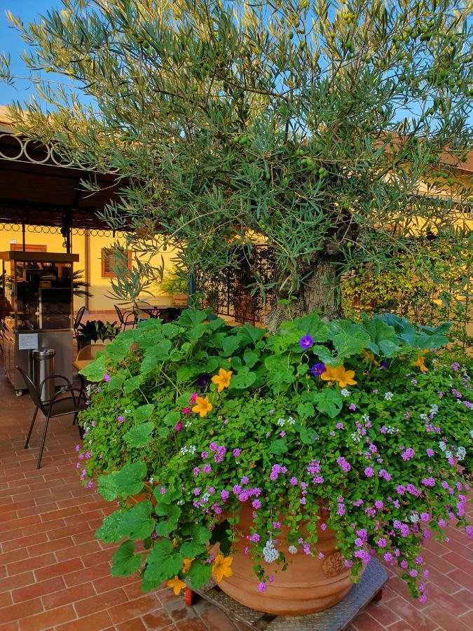 "La Terrazza Di Castiglione" Appartamenti Vacanza Castiglione della Pescaia Ngoại thất bức ảnh